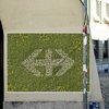 SBB Nachhaltigkeit: Auf grünen Schienen