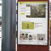 TPF: Rauchstopp-Plattform in neuem Kleid