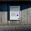 Warum wir den Button unbedingt klicken wollen